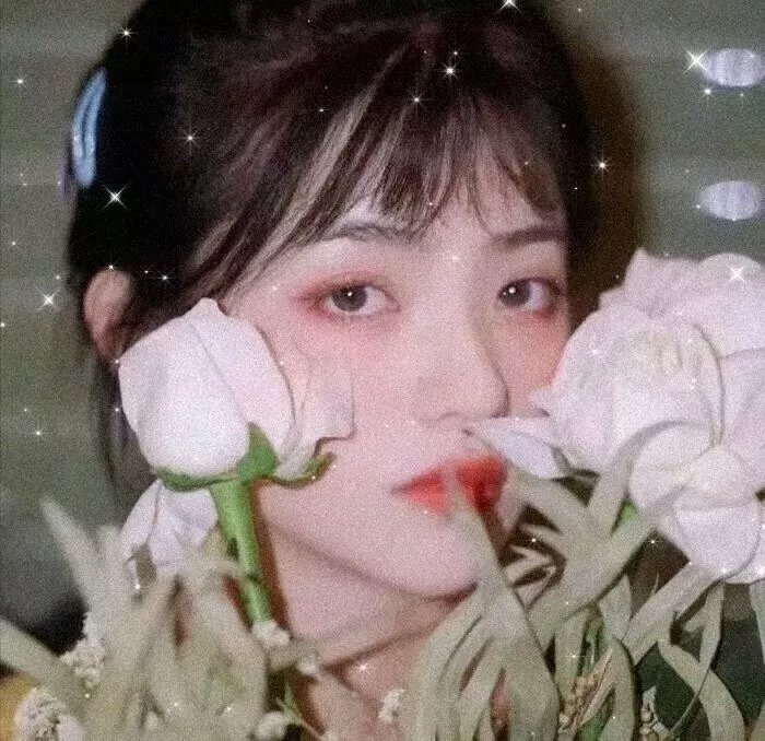浪华悲歌